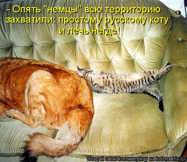 - Опять "немцы" всю территорию захватили: простому русскому коту и лечь негде!... Котоматрица: - Опять "немцы" всю территорию захватили: простому русскому коту и лечь негде!
