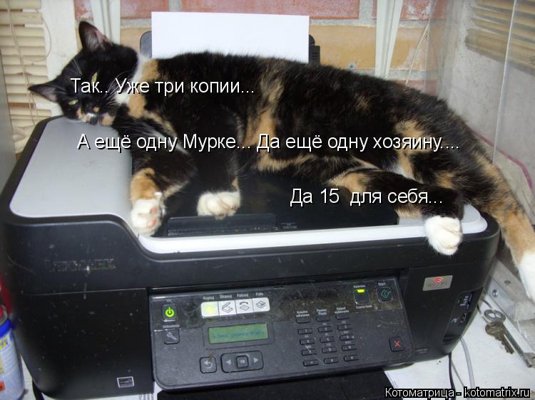 Котоматрица: Так.. Уже три копии... А ещё одну Мурке... Да ещё одну хозяину.... Да 15  для себя...