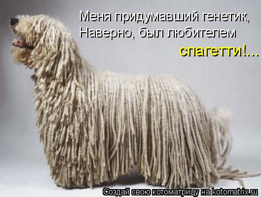 Меня придумавший генетик, Наверно, был любителем спагетти!...... Котоматрица: Меня придумавший генетик, Наверно, был любителем спагетти!...