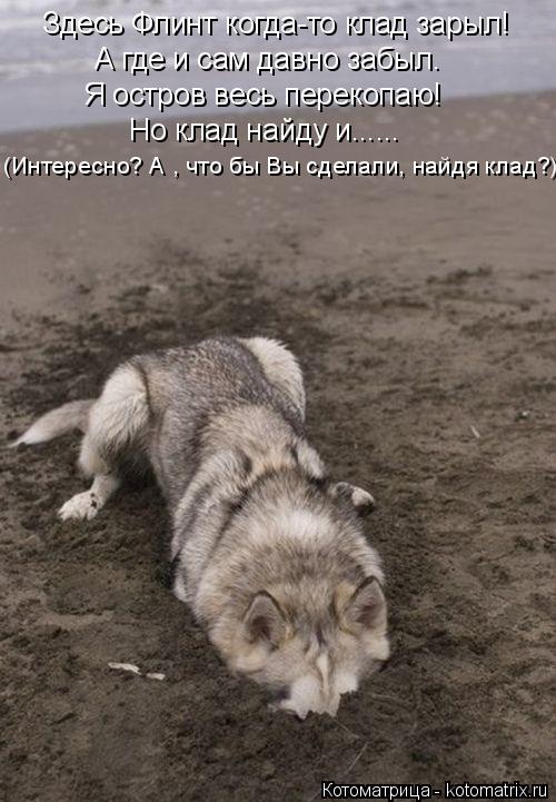 Здесь Флинт когда-то клад зарыл! А где и сам давно забыл. Я остров весь перекопаю! Но клад найду и...... Котоматрица: Здесь Флинт когда-то клад зарыл! А где и сам давно забыл. Я остров весь перекопаю! Но клад найду и...... (Интересно? А , что бы Вы сделали, найдя кл