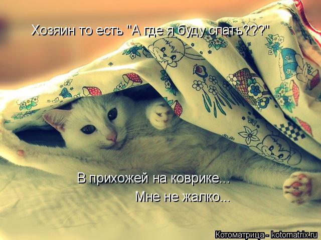 Хозяин то есть "А где я буду спать???" В прихожей на коврике... Мне не жалко...... Котоматрица: Хозяин то есть "А где я буду спать???" В прихожей на коврике... Мне не жалко...