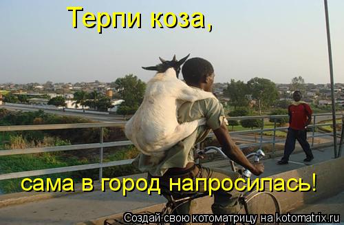 Терпи коза, сама в город напросилась!... Котоматрица: Терпи коза, сама в город напросилась!