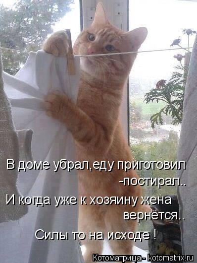 Котоматрица: В доме убрал,еду приготовил -постирал.. И когда уже к хозяину жена вернётся.. Силы то на исходе !