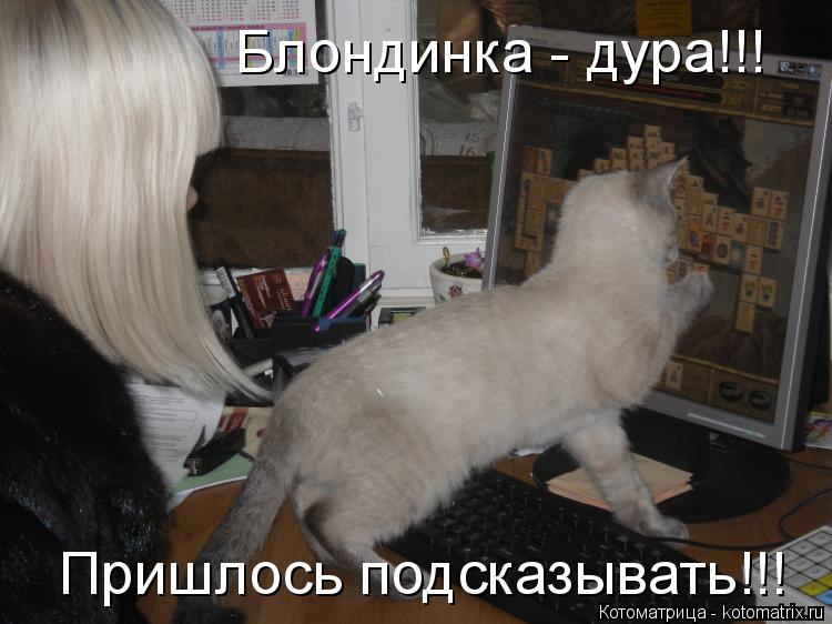 Котоматрица: Блондинка - дура!!! Пришлось подсказывать!!!