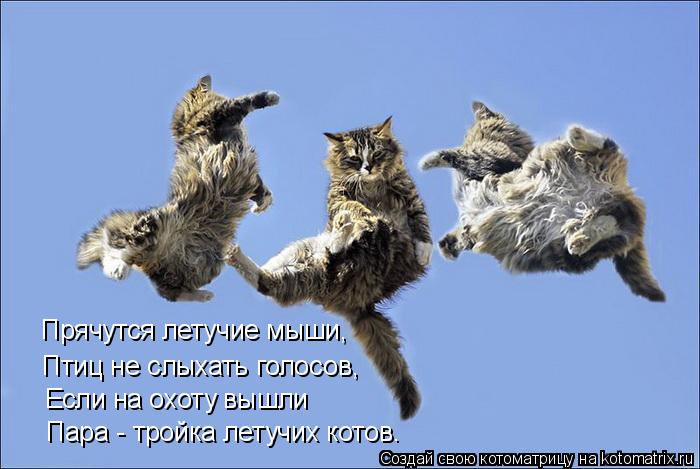 Прячутся летучие мыши, Птиц не слыхать голосов, Если на охоту вышли Пара - тройка летучих котов.... Котоматрица: Прячутся летучие мыши, Птиц не слыхать голосов, Если на охоту вышли Пара - тройка летучих котов.