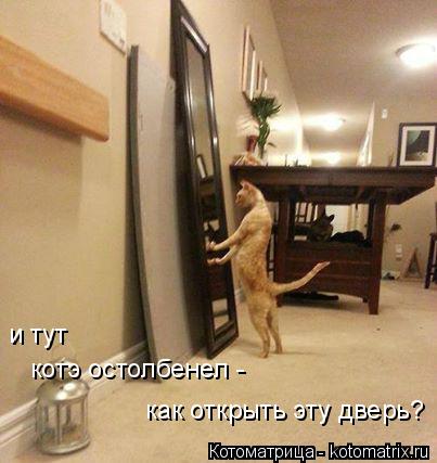 Котоматрица: котэ остолбенел -  как открыть эту дверь?  и тут