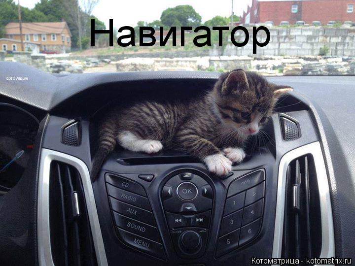 Котоматрица: Навигатор