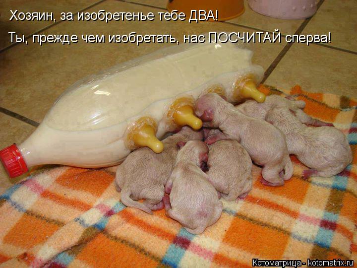 Хозяин, за изобретенье тебе ДВА! Ты, прежде чем изобретать, нас ПОСЧИТАЙ сперва!... Котоматрица: Хозяин, за изобретенье тебе ДВА! Ты, прежде чем изобретать, нас ПОСЧИТАЙ сперва!