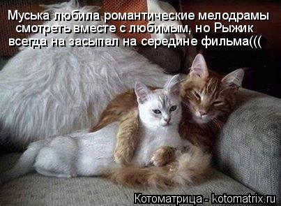 Котоматрица: Муська любила романтические мелодрамы смотреть вместе с любимым, но Рыжик всегда на засыпал на середине фильма(((