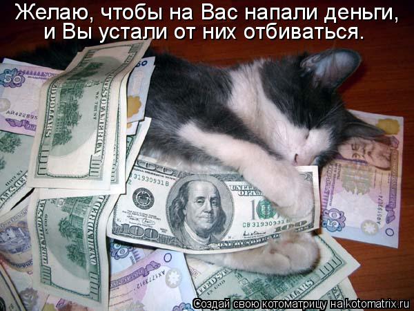 Желаю, чтобы на Вас напали деньги, и Вы устали от них отбиваться.... Котоматрица: Желаю, чтобы на Вас напали деньги, и Вы устали от них отбиваться.