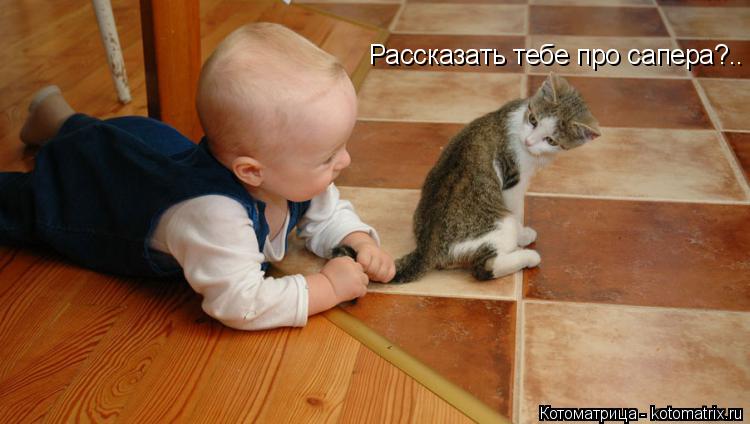 Рассказать тебе про сапера?..... Котоматрица: Рассказать тебе про сапера?..