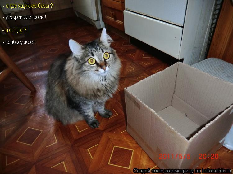 - а где ящик колбасы ? - у Барсика спроси ! - а он где ? - колбасу жрёт!... Котоматрица: - а где ящик колбасы ? - у Барсика спроси ! - а он где ? - колбасу жрёт!