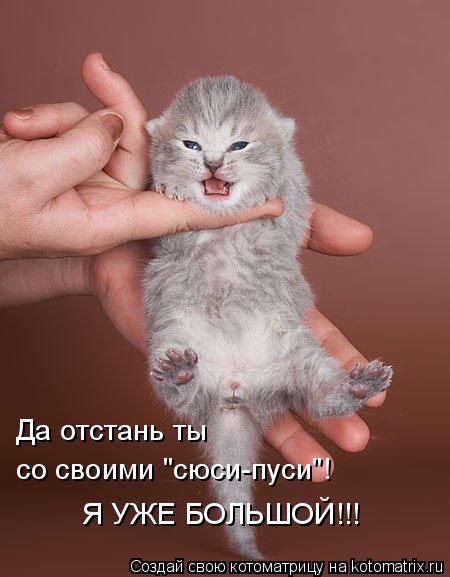 Да отстань ты со своими "сюси-пуси"! Я УЖЕ БОЛЬШОЙ!!!... Котоматрица: Да отстань ты со своими "сюси-пуси"! Я УЖЕ БОЛЬШОЙ!!!
