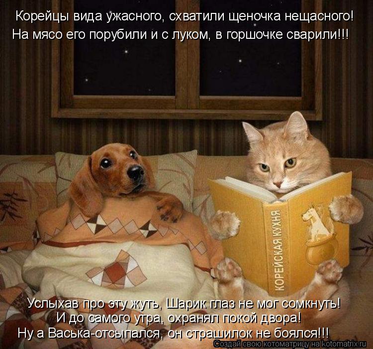 Корейцы вида ужасного, схватили щеночка нещасного! На мясо его порубили и с луком, в горшочке сварили... Котоматрица: Корейцы вида ужасного, схватили щеночка нещасного! На мясо его порубили и с луком, в горшочке сварили!!! Услыхав про эту жуть, Шарик глаз не м
