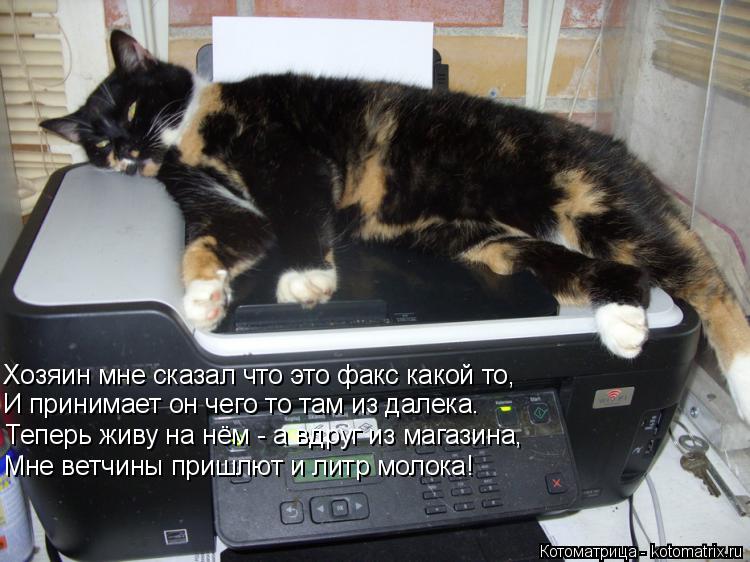 Хозяин мне сказал что это факс какой то, И принимает он чего то там из далека. Теперь живу на нём - а... Котоматрица: Хозяин мне сказал что это факс какой то, И принимает он чего то там из далека. Теперь живу на нём - а вдруг из магазина, Мне ветчины пришлют и л
