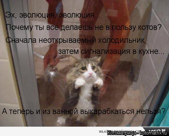 Почему ты все делаешь не в пользу котов? Эх, эволюция, эволюция... Сначала неоткрываемый холодильник,... Котоматрица: Почему ты все делаешь не в пользу котов? Эх, эволюция, эволюция... Сначала неоткрываемый холодильник, затем сигнализация в кухне... А теперь и