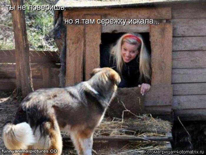 но я там сережку искала... ты не поверишь,... Котоматрица: но я там сережку искала... ты не поверишь,