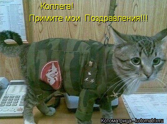 Коллега! Примите мои Поздравления!!!... Котоматрица: Коллега! Примите мои Поздравления!!!