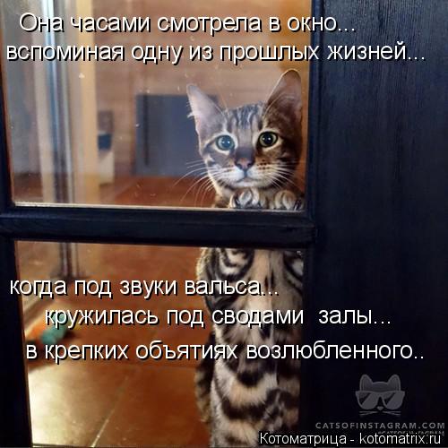 Она часами смотрела в окно... вспоминая одну из прошлых жизней... когда под звуки вальса... кружилас... Котоматрица: Она часами смотрела в окно... вспоминая одну из прошлых жизней... когда под звуки вальса... кружилась под сводами залы... в крепких объятиях во