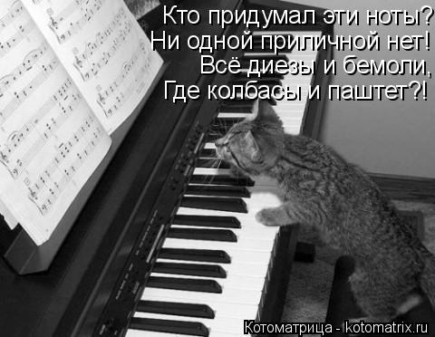 Кто придумал эти ноты? Ни одной приличной нет! Всё диезы и бемоли, Где колбасы и паштет?!... Котоматрица: Кто придумал эти ноты? Ни одной приличной нет! Всё диезы и бемоли, Где колбасы и паштет?!