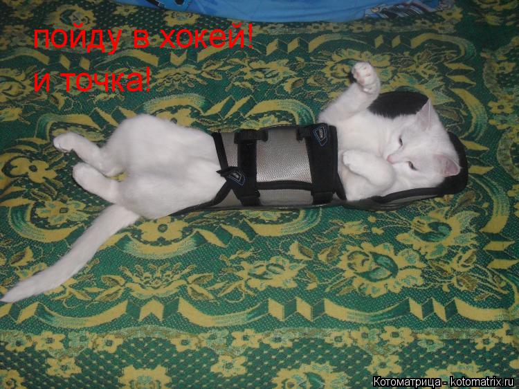 пойду в хокей! и точка!... Котоматрица: пойду в хокей! и точка!