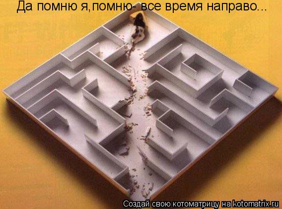 Да помню я,помню- все время направо...... Котоматрица: Да помню я,помню- все время направо...