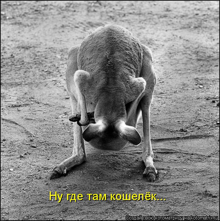 Котоматрица: Ну где там кошелёк...