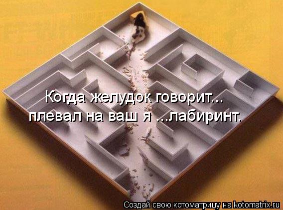Когда желудок говорит... плевал на ваш я ...лабиринт.... Котоматрица: Когда желудок говорит... плевал на ваш я ...лабиринт.