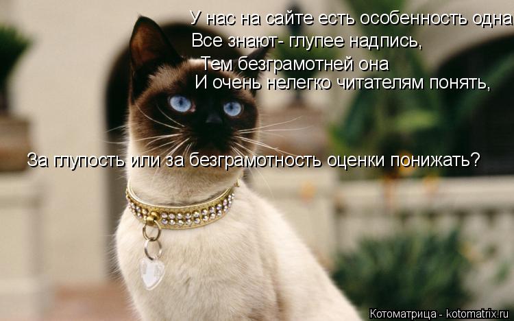 У нас на сайте есть особенность одна, Все знают- глупее надпись, Тем безграмотней она И очень нелегко... Котоматрица: У нас на сайте есть особенность одна, Все знают- глупее надпись, Тем безграмотней она И очень нелегко читателям понять, За глупость или за бе
