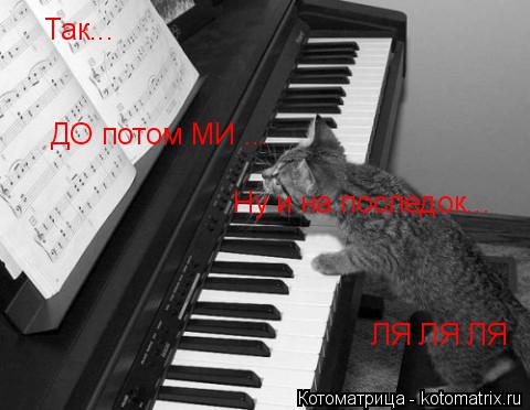 Котоматрица: Так... ДО потом МИ ... Ну и на последок... ЛЯ ЛЯ ЛЯ