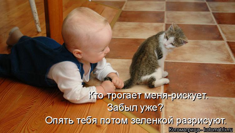 Котоматрица: Кто трогает меня-рискует. Забыл уже? Опять тебя потом зеленкой разрисуют.