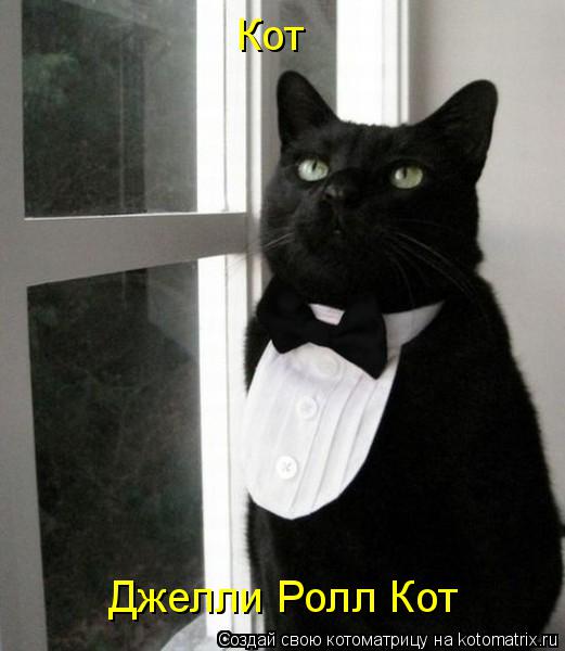 Котоматрица: Кот Джелли Ролл Кот
