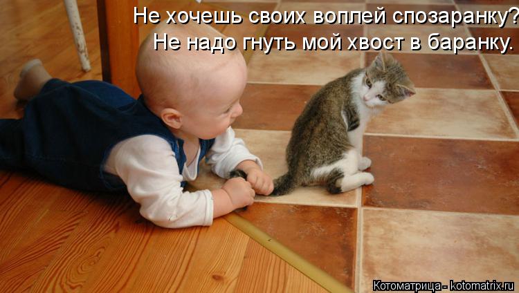 Не хочешь своих воплей спозаранку? Не надо гнуть мой хвост в баранку.... Котоматрица: Не хочешь своих воплей спозаранку? Не надо гнуть мой хвост в баранку.