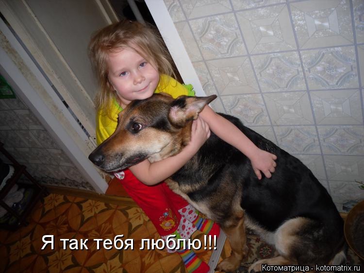Котоматрица: Я так тебя люблю!!!