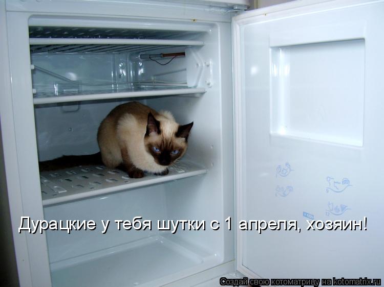 Котоматрица: Дурацкие у тебя шутки с 1 апреля, хозяин!