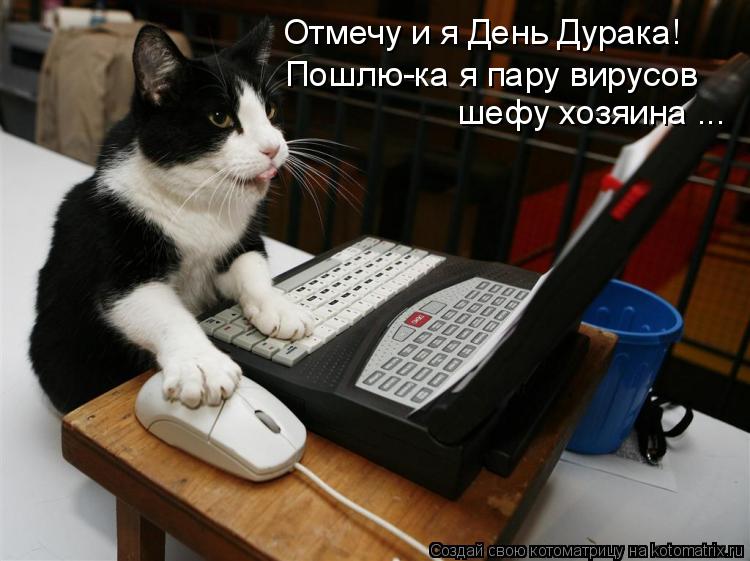 Котоматрица: Отмечу и я День Дурака! Пошлю-ка я пару вирусов шефу хозяина ...