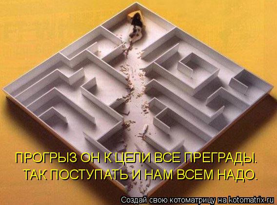 ПРОГРЫЗ ОН К ЦЕЛИ ВСЕ ПРЕГРАДЫ. ТАК ПОСТУПАТЬ И НАМ ВСЕМ НАДО.... Котоматрица: ПРОГРЫЗ ОН К ЦЕЛИ ВСЕ ПРЕГРАДЫ. ТАК ПОСТУПАТЬ И НАМ ВСЕМ НАДО.