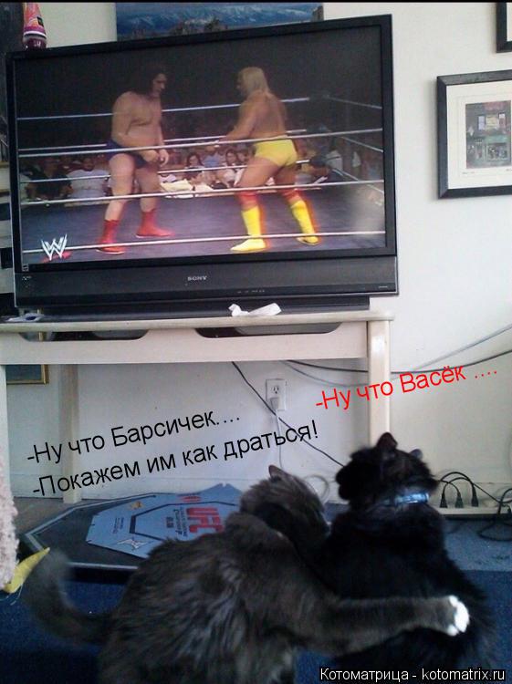 -Ну что Барсичек.... -Ну что Васёк .... -Покажем им как драться !... Котоматрица: -Ну что Барсичек.... -Ну что Васёк .... -Покажем им как драться !