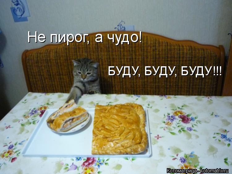 Котоматрица: Не пирог, а чудо!  БУДУ, БУДУ, БУДУ!!!