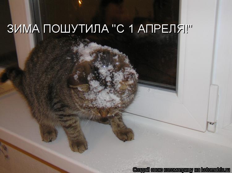 Котоматрица: ЗИМА ПОШУТИЛА "С 1 АПРЕЛЯ!"
