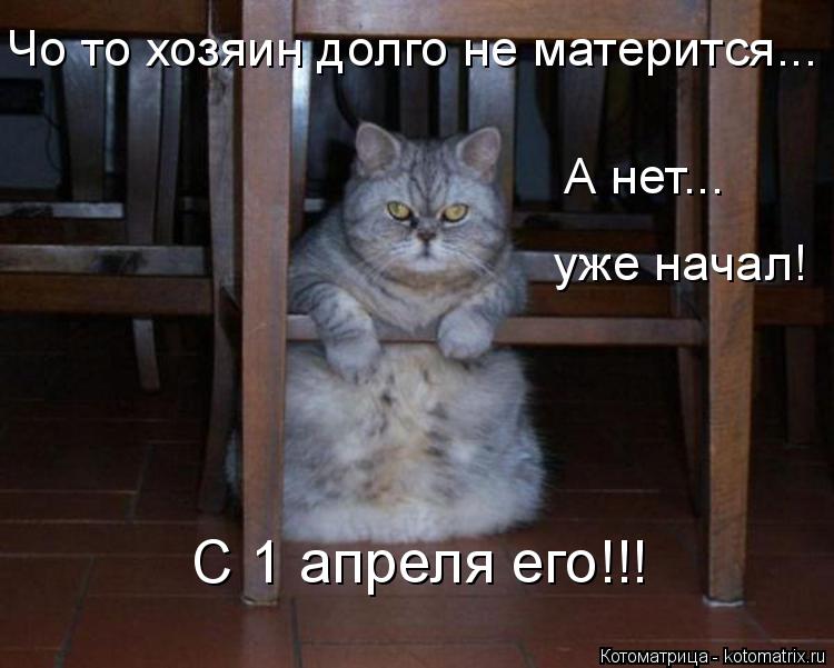 Чо то хозяин долго не матерится... А нет... уже начал! С 1 апреля его!!!... Котоматрица: Чо то хозяин долго не матерится... А нет... уже начал! С 1 апреля его!!!