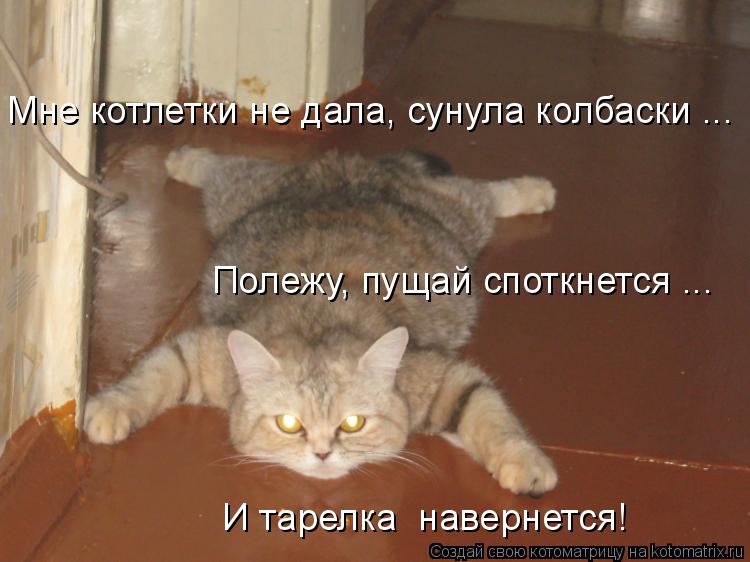 Котоматрица: Мне котлетки не дала, сунула колбаски ... Полежу, пущай споткнется ... И тарелка  навернется!
