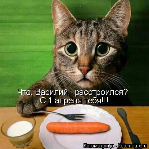 Котоматрица: Что, Василий,  расстроился? С 1 апреля тебя!!!