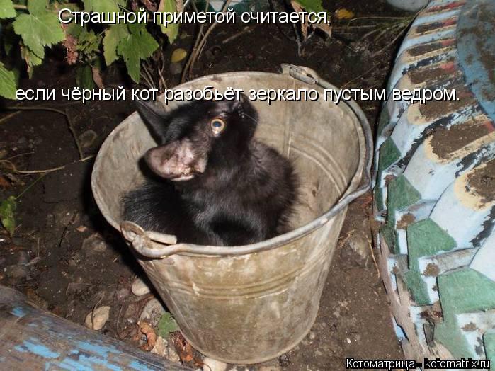 Котоматрица: Страшной приметой считается, если чёрный кот разобьёт зеркало пустым ведром.