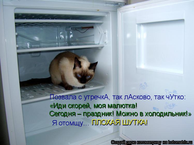 Котоматрица: Позвала с утречкА, так лАсково, так чУтко: «Иди скорей, моя малютка! Сегодня – праздник! Можно в холодильник!» Я отомщу… ПЛОХАЯ ШУТКА! ПЛОХАЯ