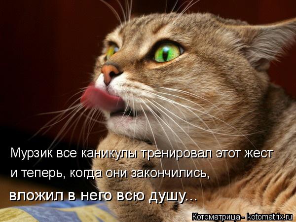 Мурзик все каникулы тренировал этот жест и теперь, когда они закончились, вложил в него всю душу...... Котоматрица: Мурзик все каникулы тренировал этот жест и теперь, когда они закончились, вложил в него всю душу...