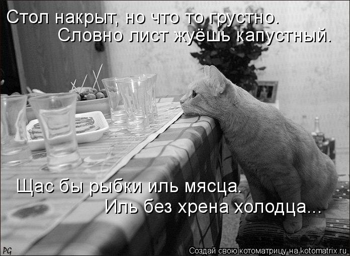 Котоматрица: Стол накрыт, но что то грустно. Щас бы рыбки иль мясца. Иль без хрена холодца... Словно лист жуёшь капустный.