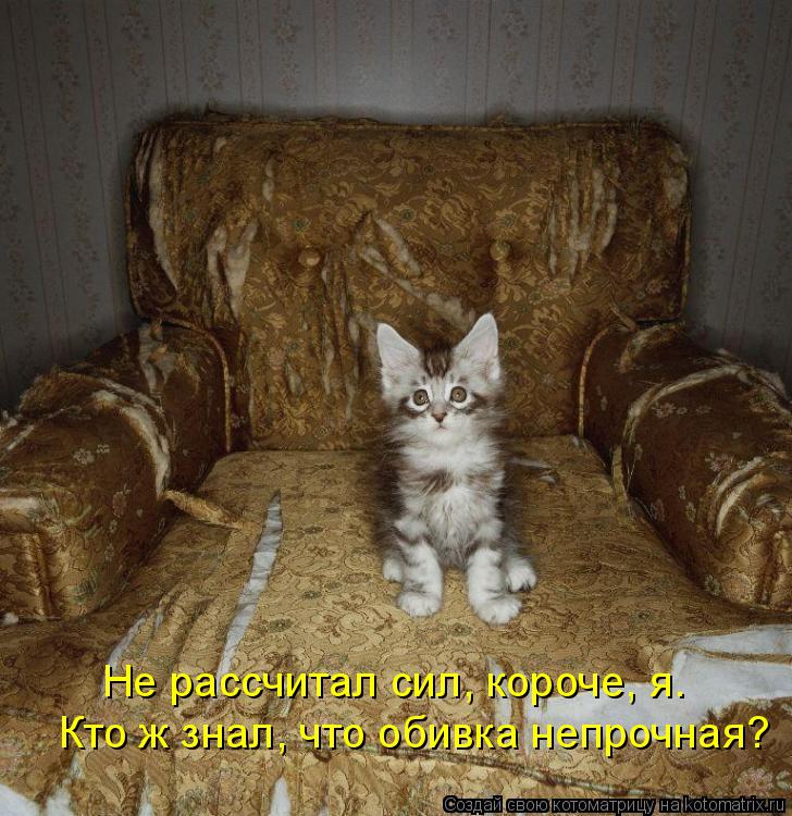 Котоматрица: Не рассчитал сил, короче, я. Кто ж знал, что обивка непрочная?