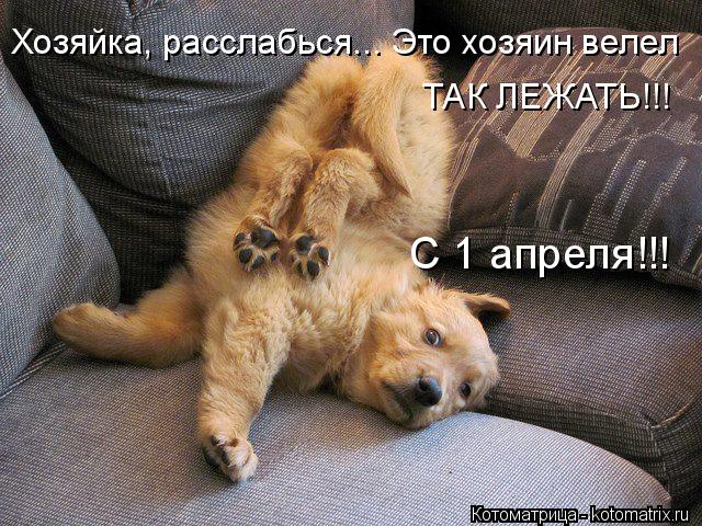 ТАК ЛЕЖАТЬ!!! С 1 апреля!!! Хозяйка, расслабься... Это хозяин велел... Котоматрица: ТАК ЛЕЖАТЬ!!! С 1 апреля!!! Хозяйка, расслабься... Это хозяин велел