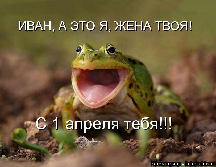 Котоматрица: ИВАН, А ЭТО Я, ЖЕНА ТВОЯ! С 1 апреля тебя!!!